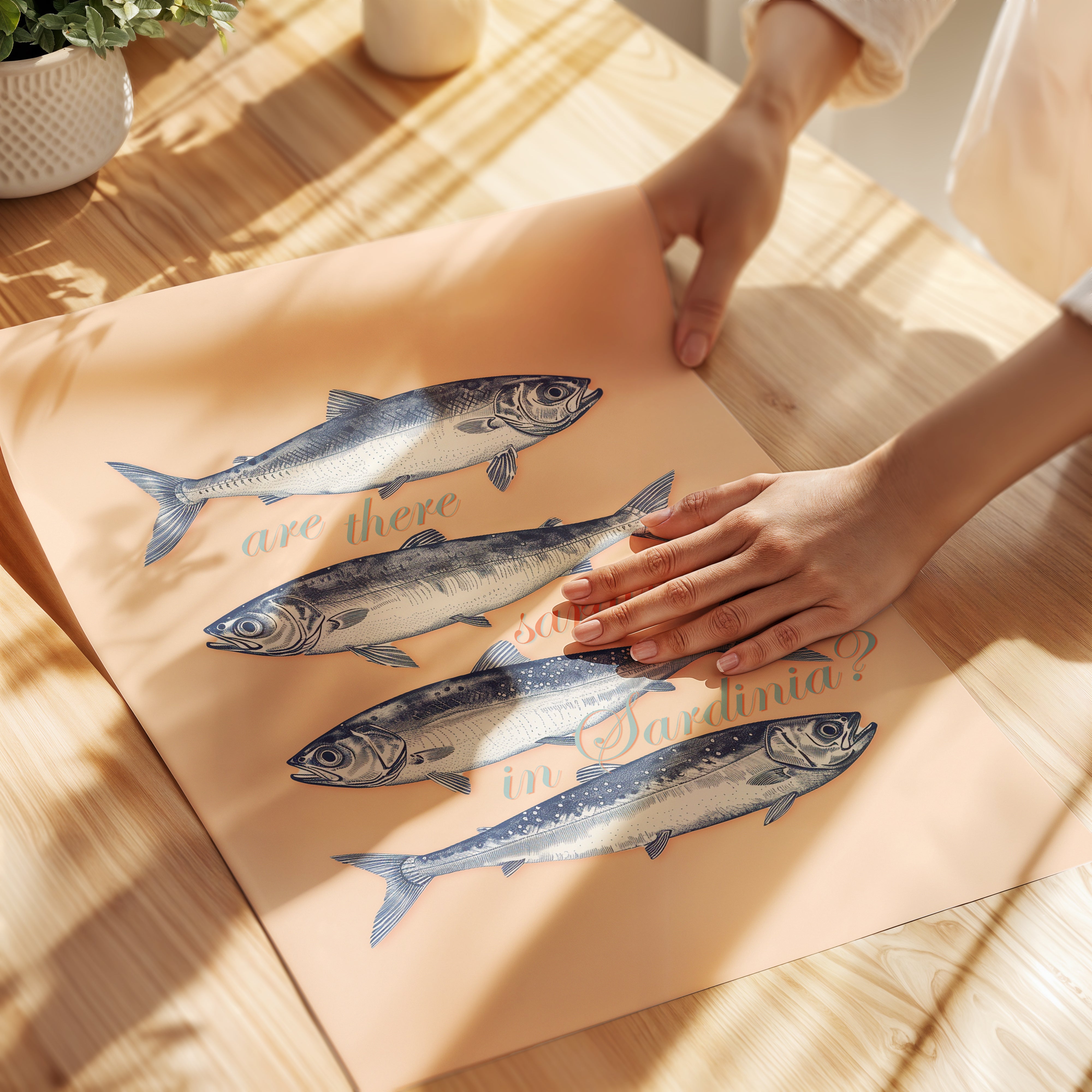 Sardines in Sardinia - Wallbees Shop