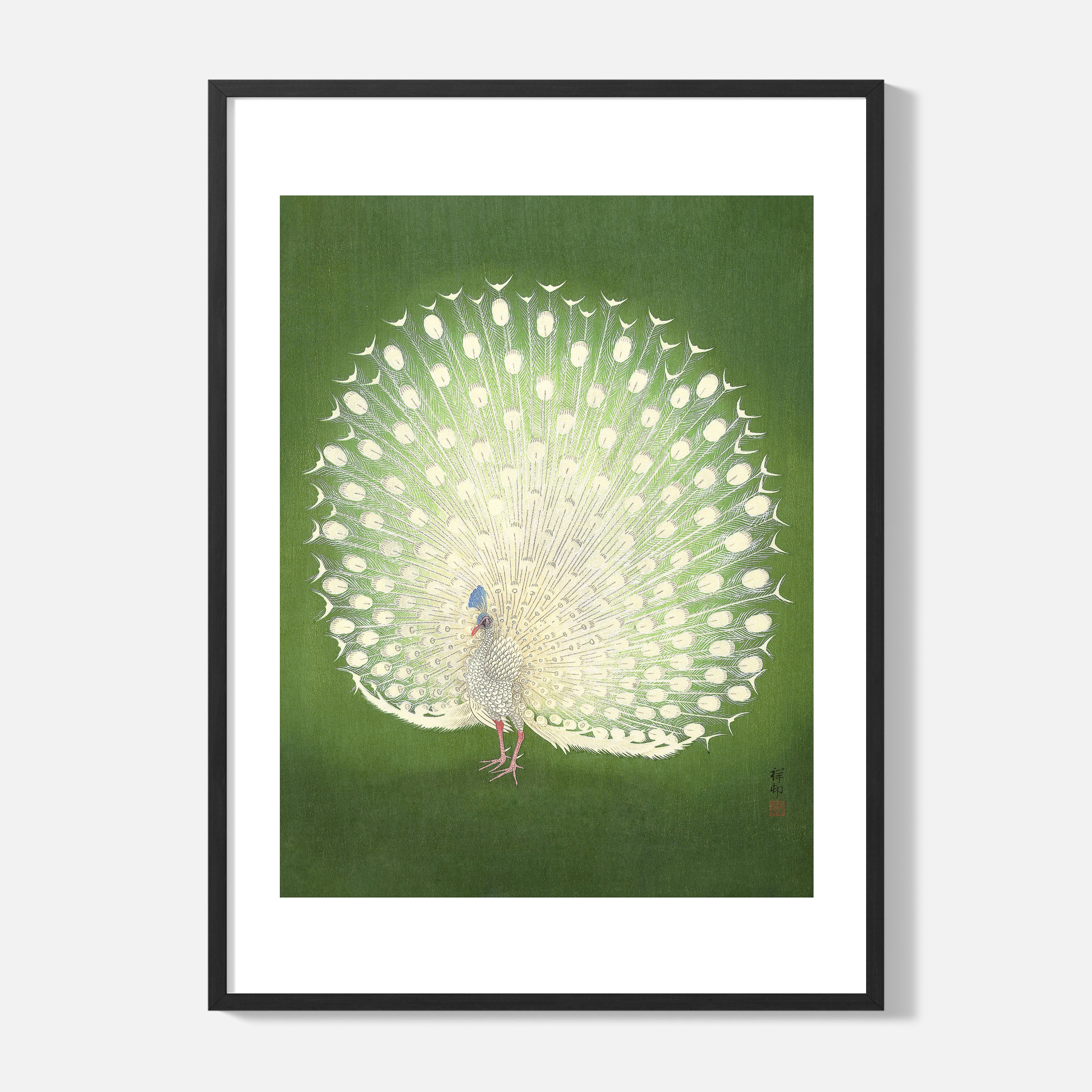 Ohara Koson - Peacock - Framed