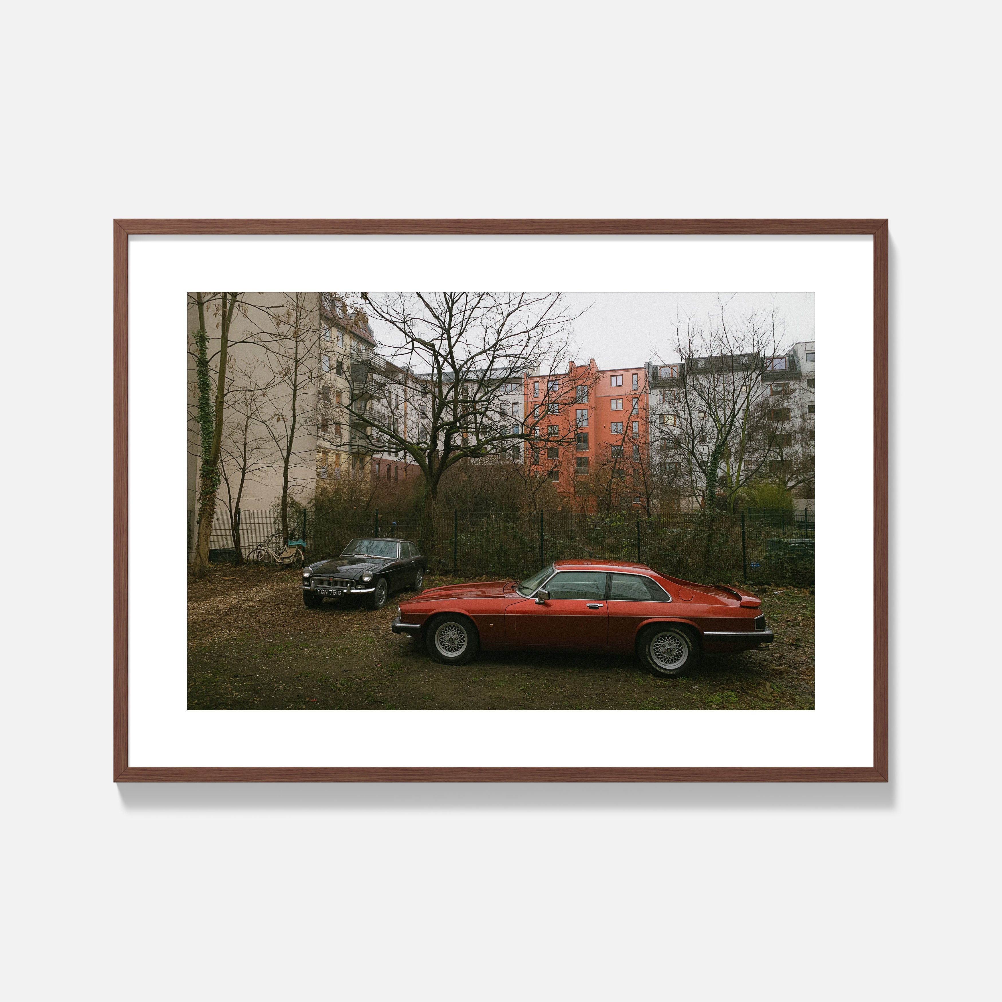 Classic Jaguar Photography Print - Framed