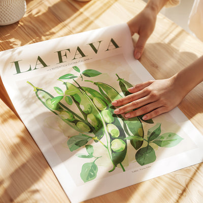 Fava Beans - Wallbees Shop