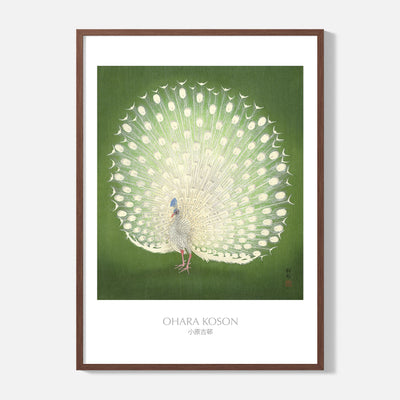 Green Peacock - Ohara Koson - Framed