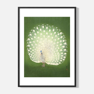 Ohara Koson - Peacock - Framed