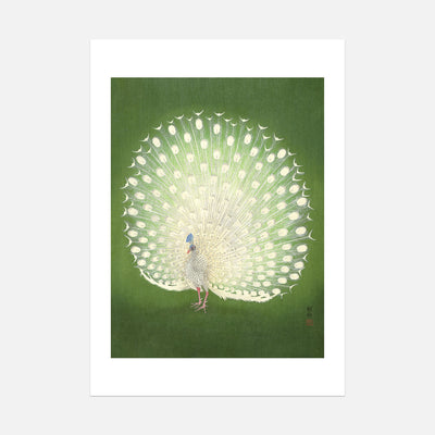 Ohara Koson - Peacock - Unframed