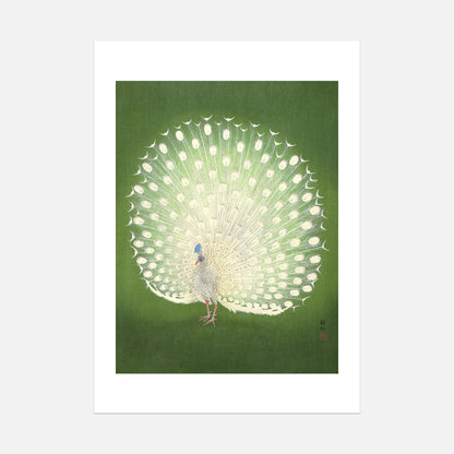 Ohara Koson - Peacock - Unframed