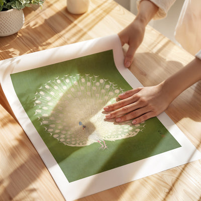 Ohara Koson - Peacock - Unframed - Paper