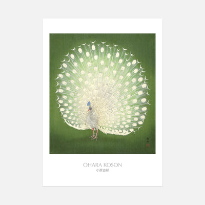 Green Peacock - Ohara Koson - Unframed