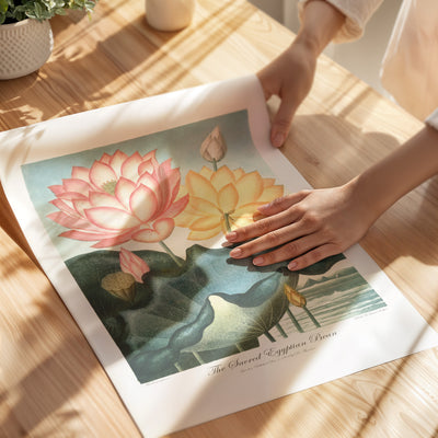 Sacred Egyptian Bean Poster - Unframed