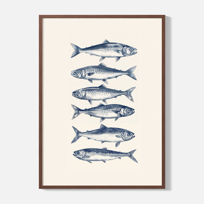 Sardines Poster - Framed